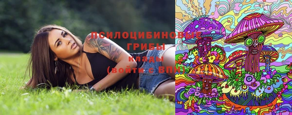 гидропоника Алзамай