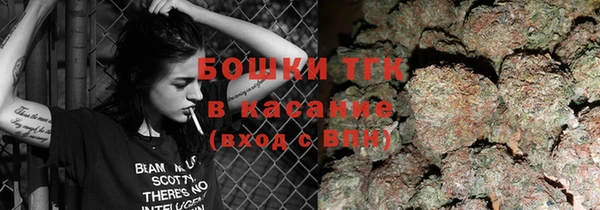 соль ск Алексин
