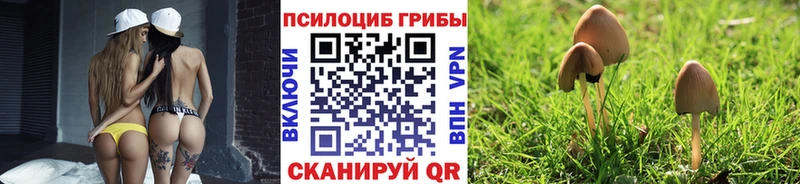 Псилоцибиновые грибы прущие грибы  Белореченск 